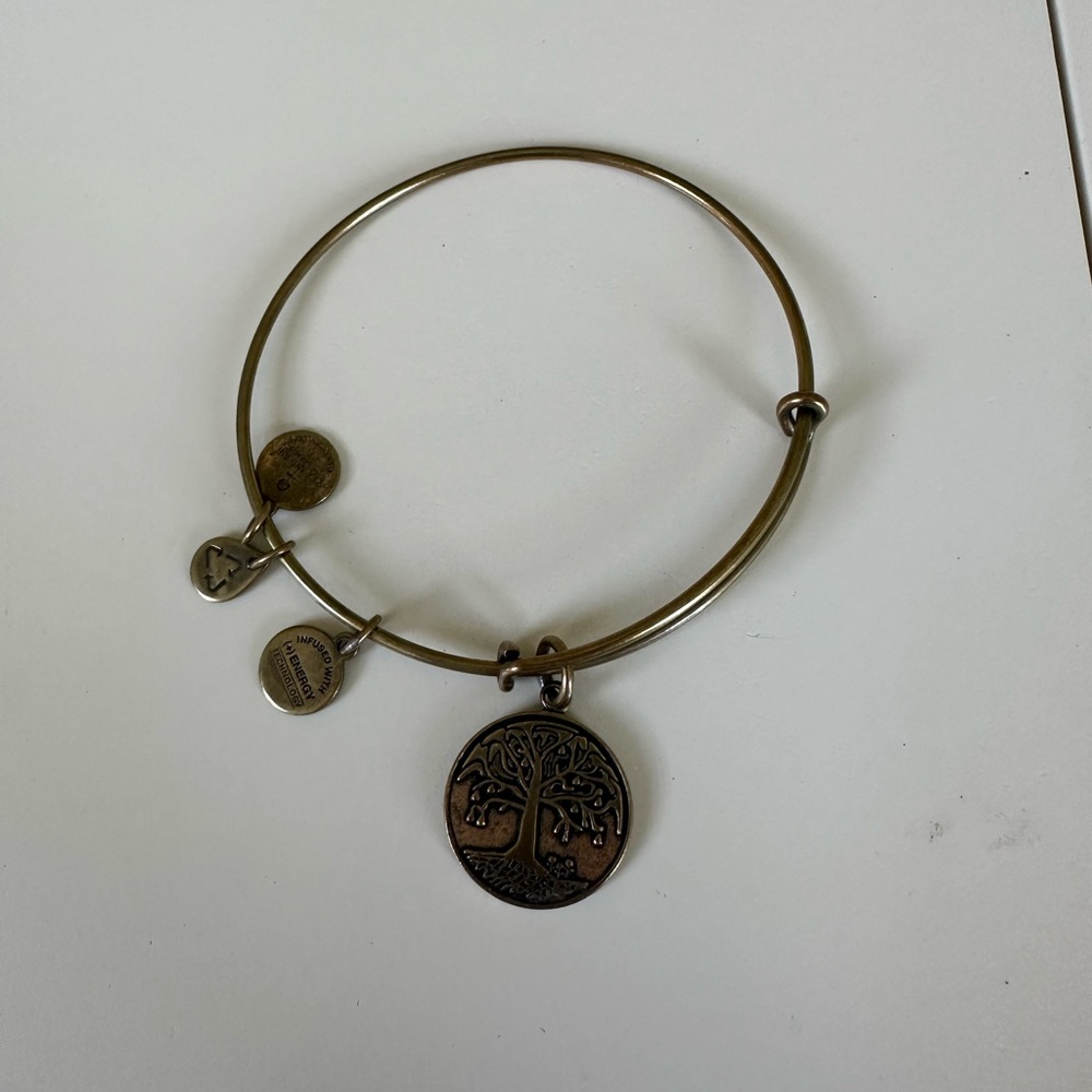 Alex and Ani Bracelet